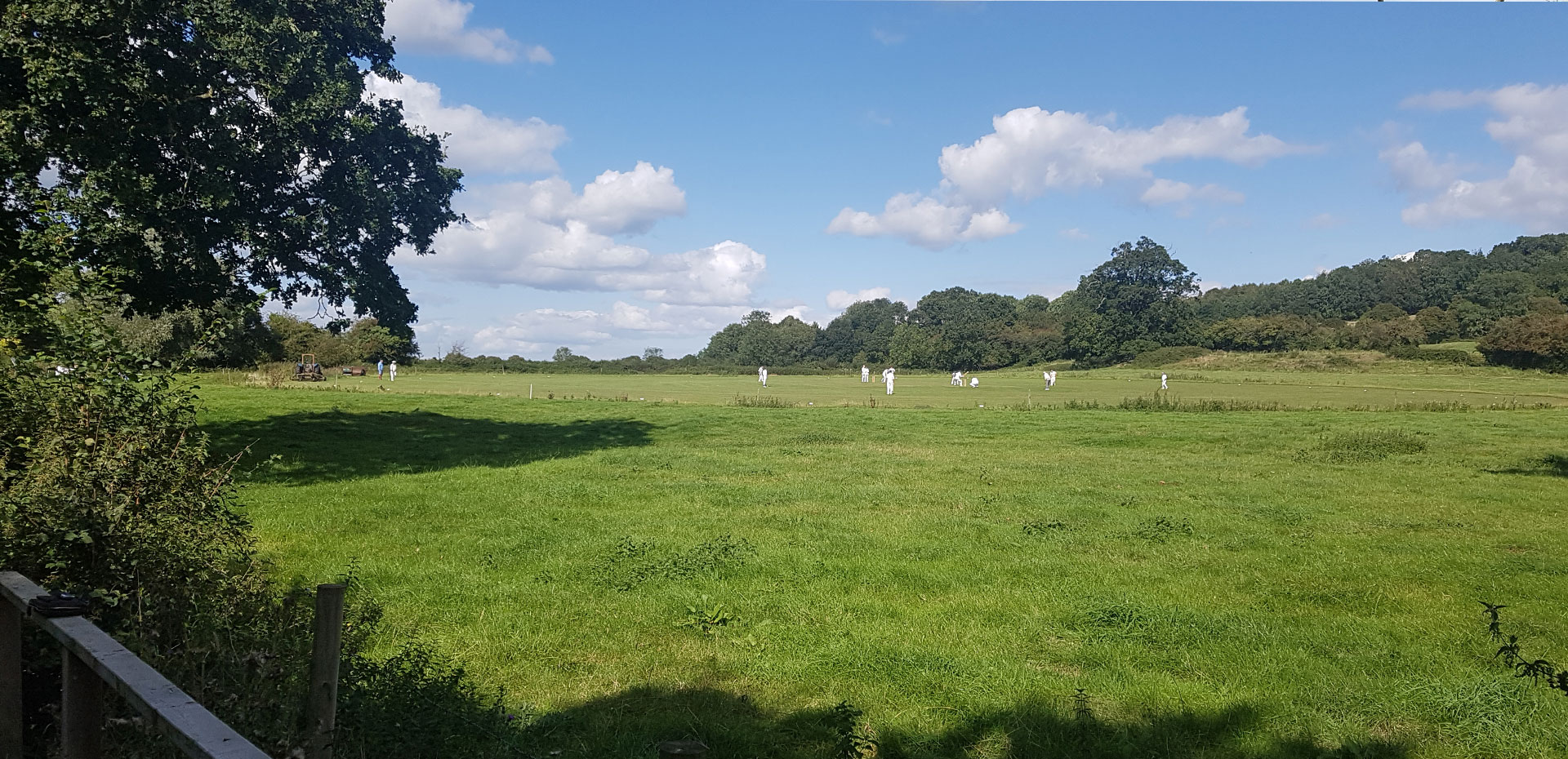 Image of pastoral scene of village cricket match on pitch in field with nettles marking the pitch edges